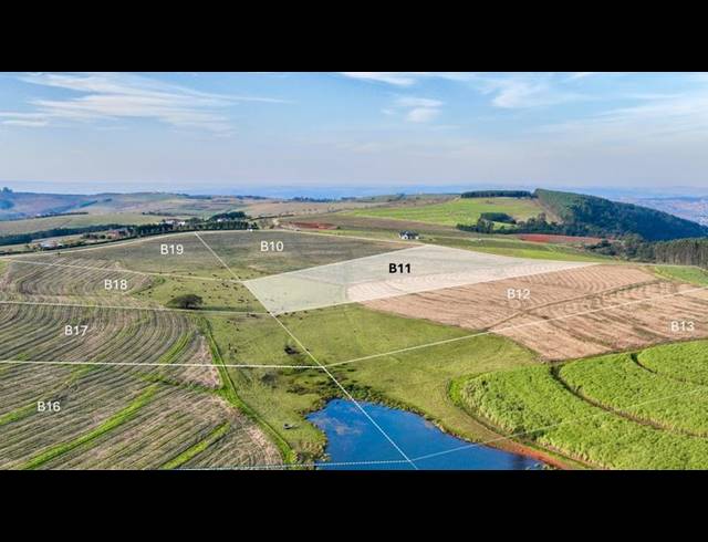 LAND FOR SALE IN MOUNT VERDE